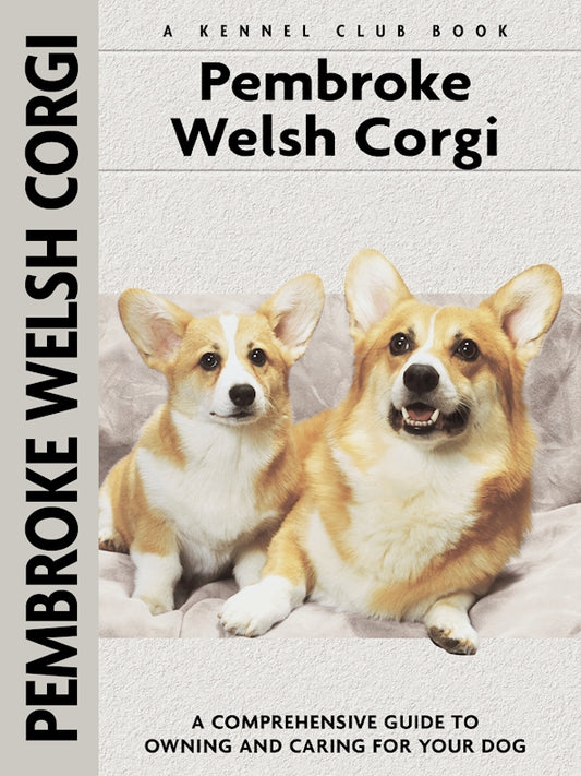 Pembroke Welsh Corgi (SC)