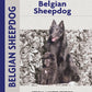 Belgian Sheepdog