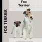 Fox Terrier