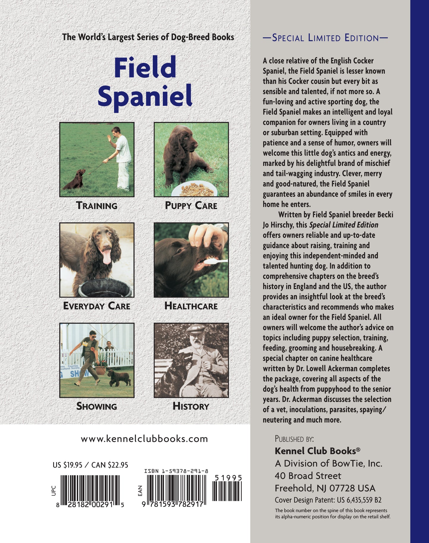 Field Spaniel