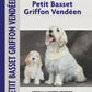 Petit Basset Griffon Vendeen