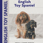 English Toy Spaniel