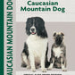 Caucasian Mountain Dog