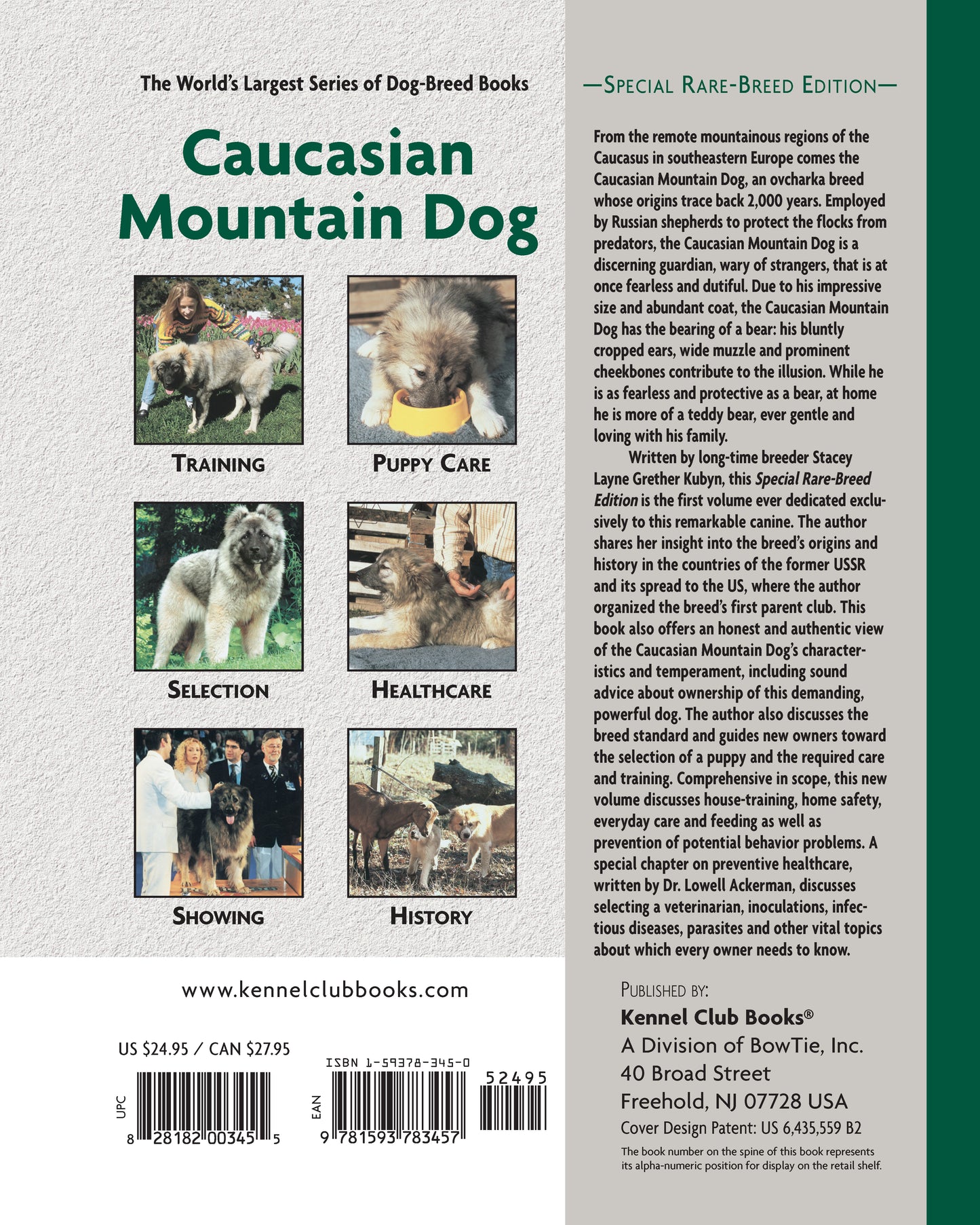 Caucasian Mountain Dog
