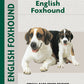 English Foxhound