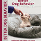 Better Dog Behavior and Training