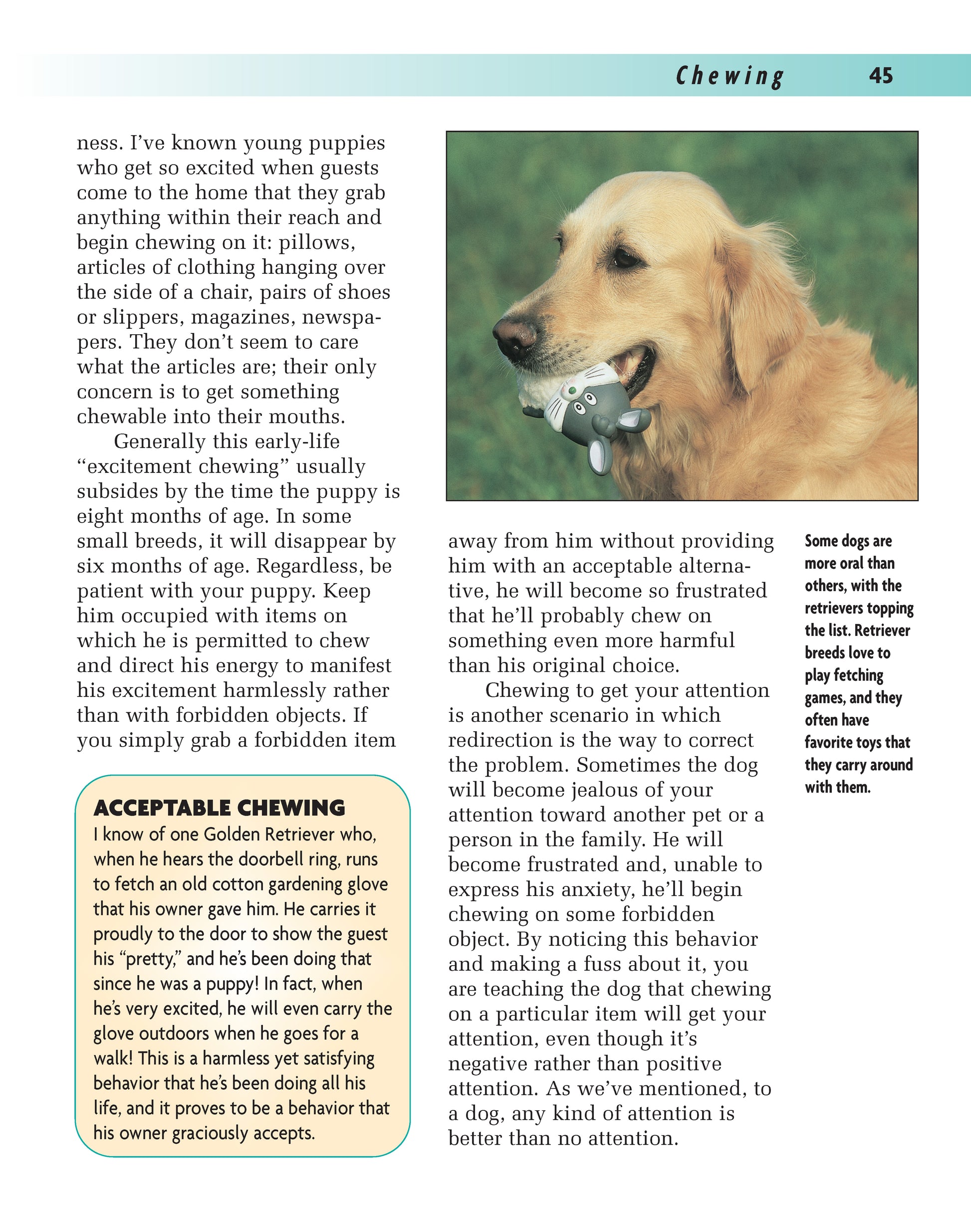 Better Dog Behavior and Training - Fox Chapel Publishing Co.