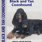 Black and Tan Coonhound