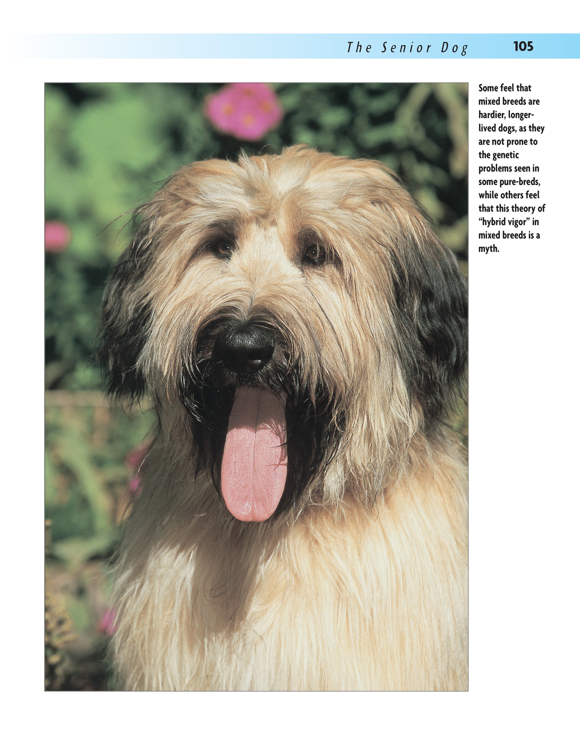 House-training Your Dog - Fox Chapel Publishing Co.