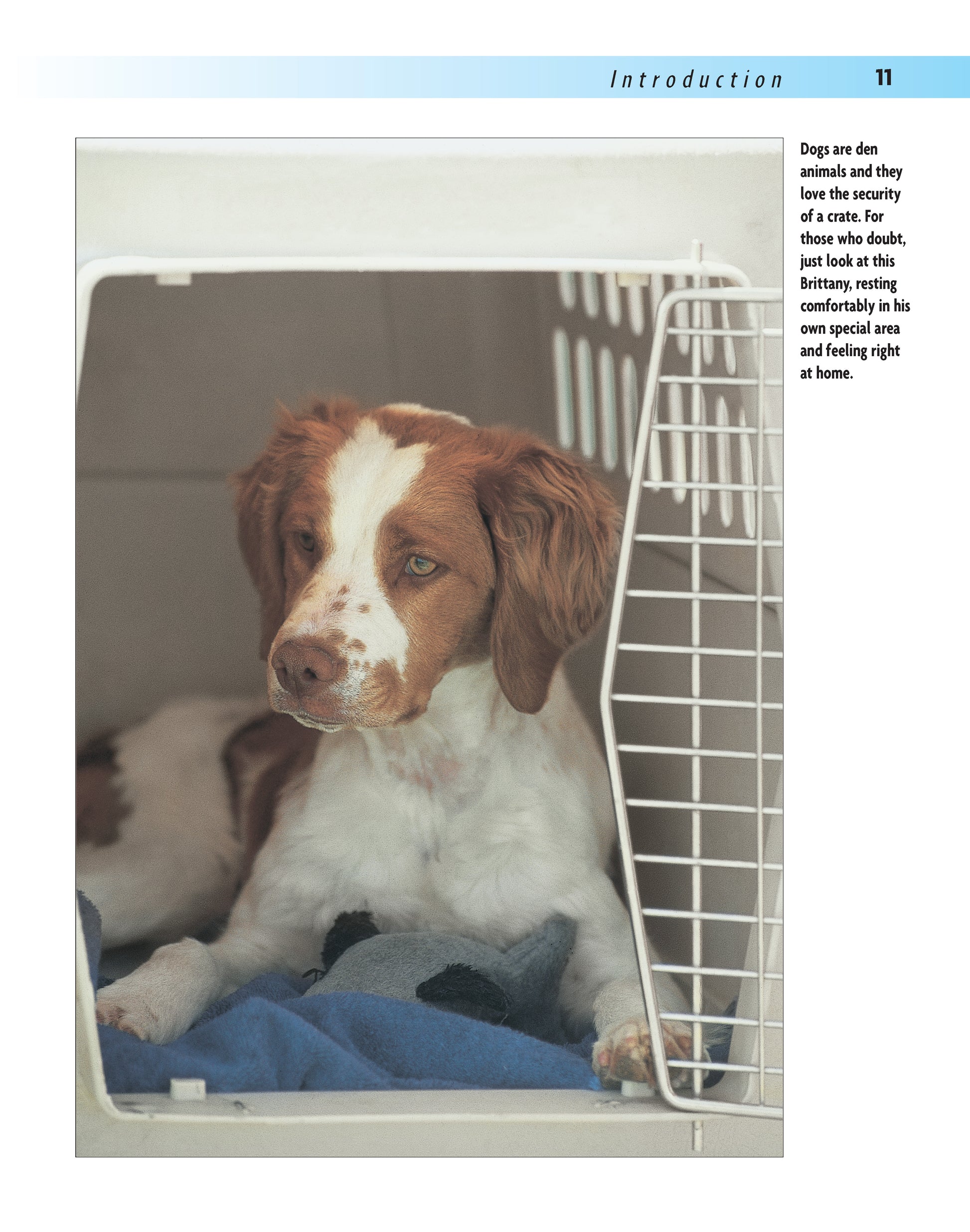 House-training Your Dog - Fox Chapel Publishing Co.