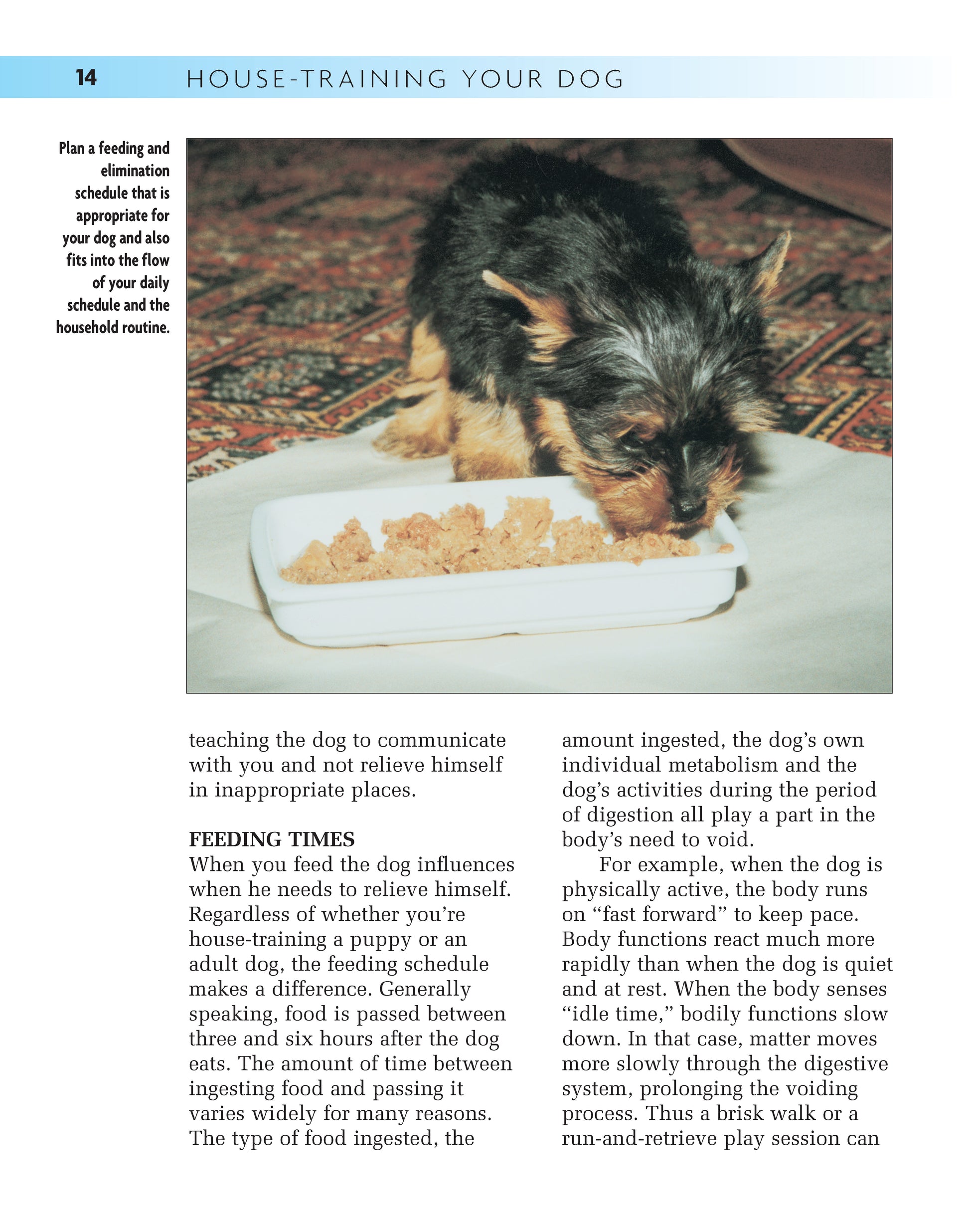 House-training Your Dog - Fox Chapel Publishing Co.