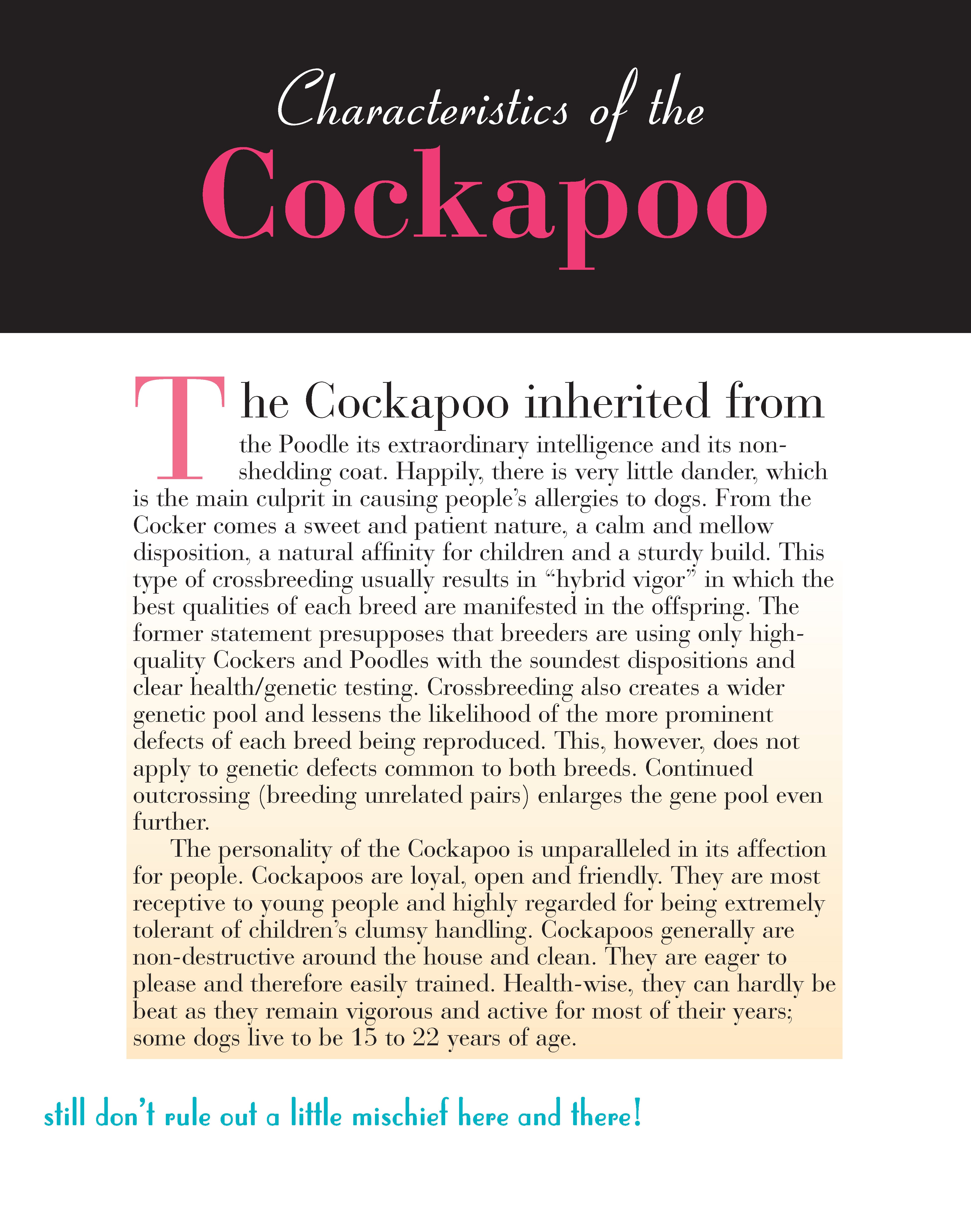 Cockapoo – Fox Chapel Publishing Co.