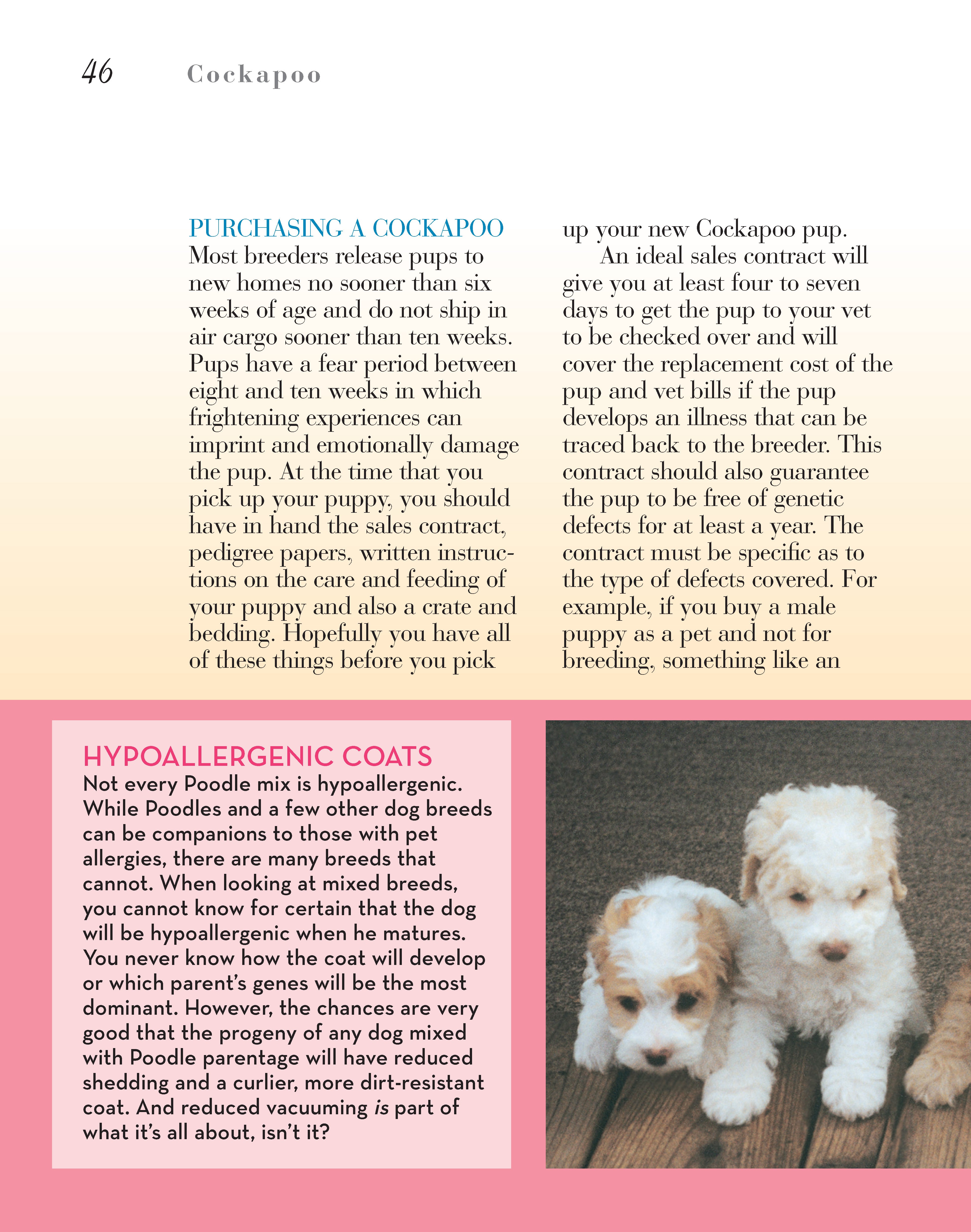 Cockapoo – Fox Chapel Publishing Co.