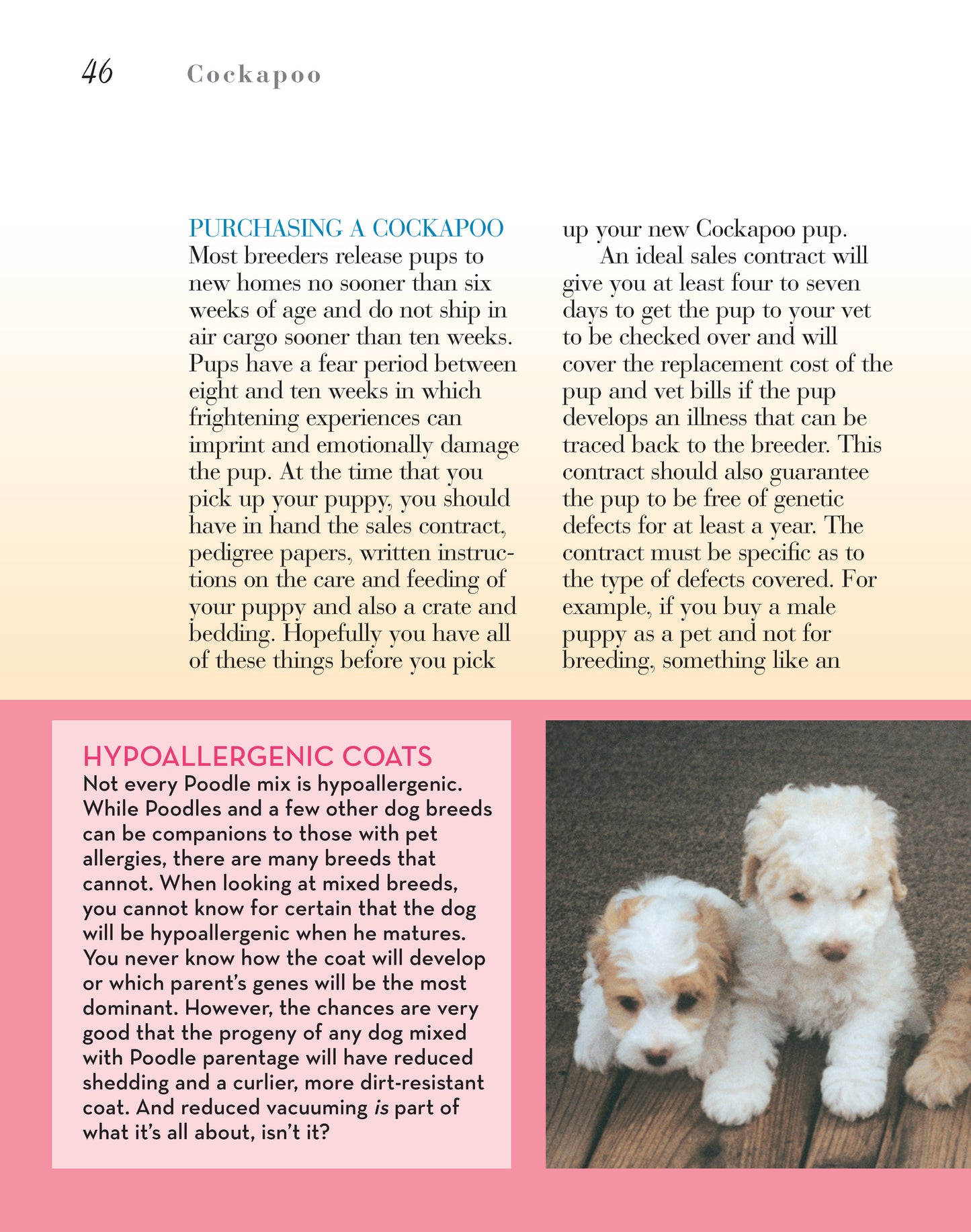 Cockapoo – Fox Chapel Publishing Co.