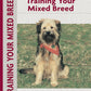 Training Your Mixed Breed