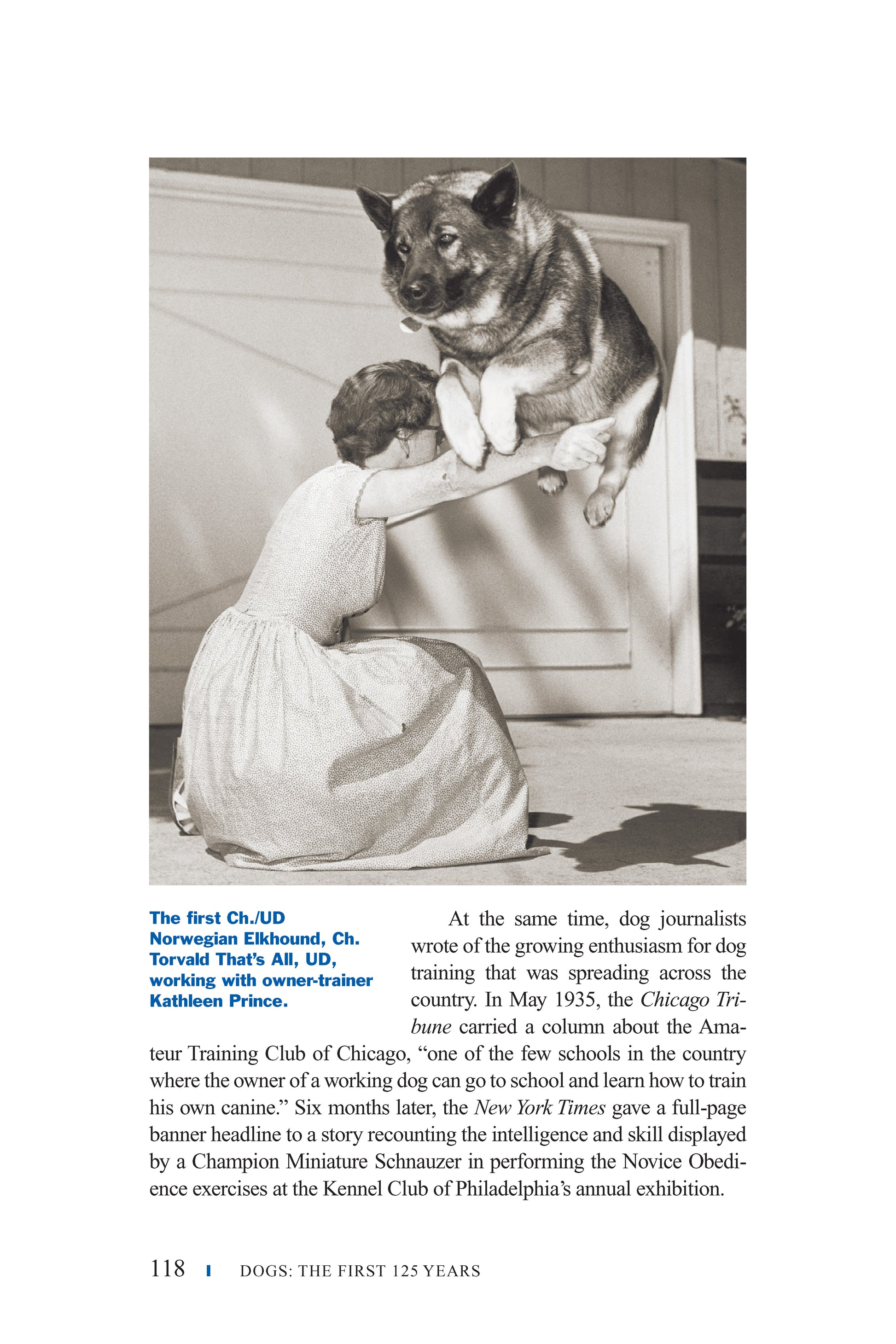 Dogs - Fox Chapel Publishing Co.