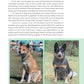 Solving the Mysteries of Breed Type - Fox Chapel Publishing Co.