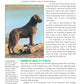Solving the Mysteries of Breed Type - Fox Chapel Publishing Co.