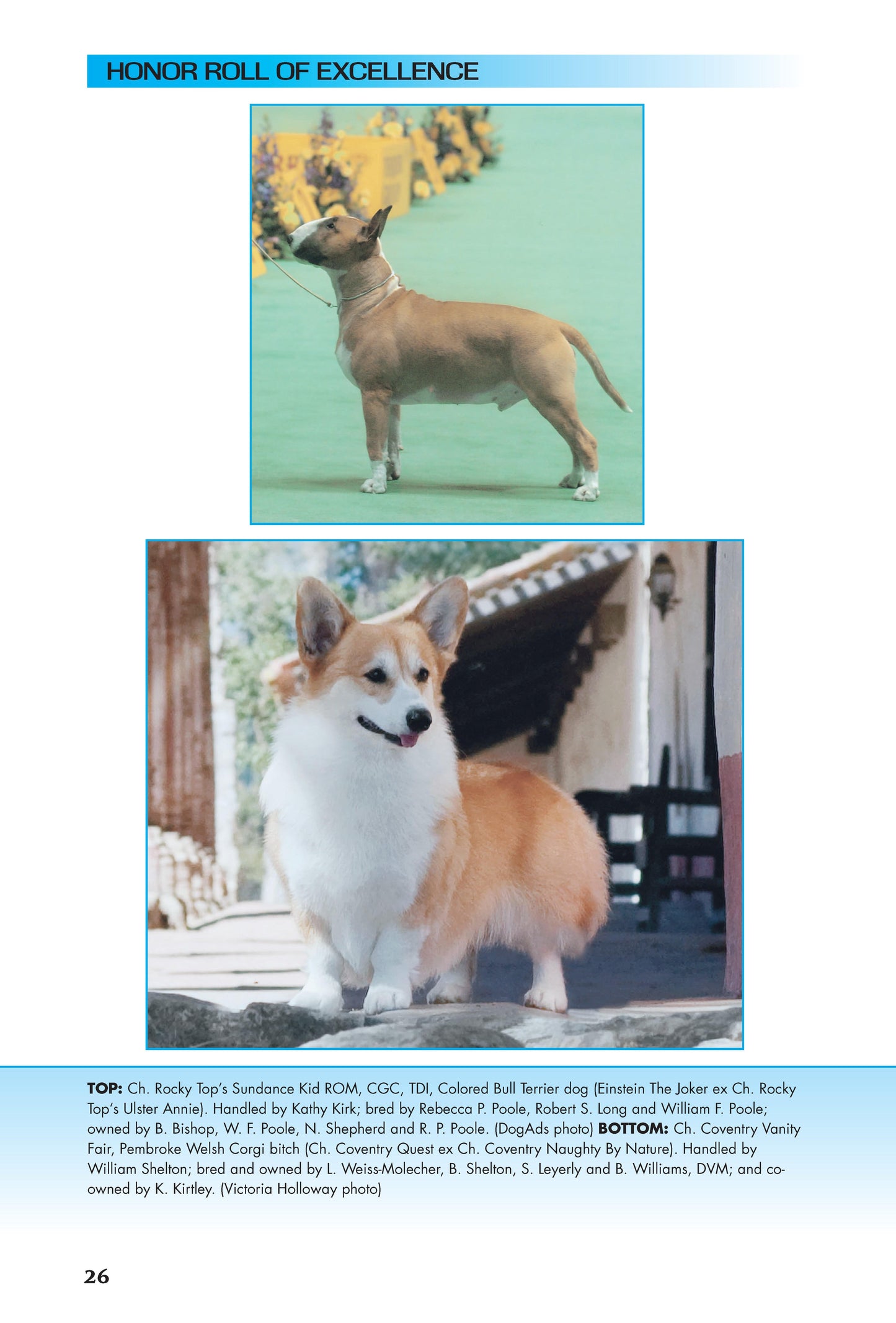 Solving the Mysteries of Breed Type - Fox Chapel Publishing Co.