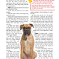 Boxer