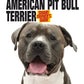 American Pit Bull Terrier