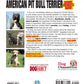 American Pit Bull Terrier