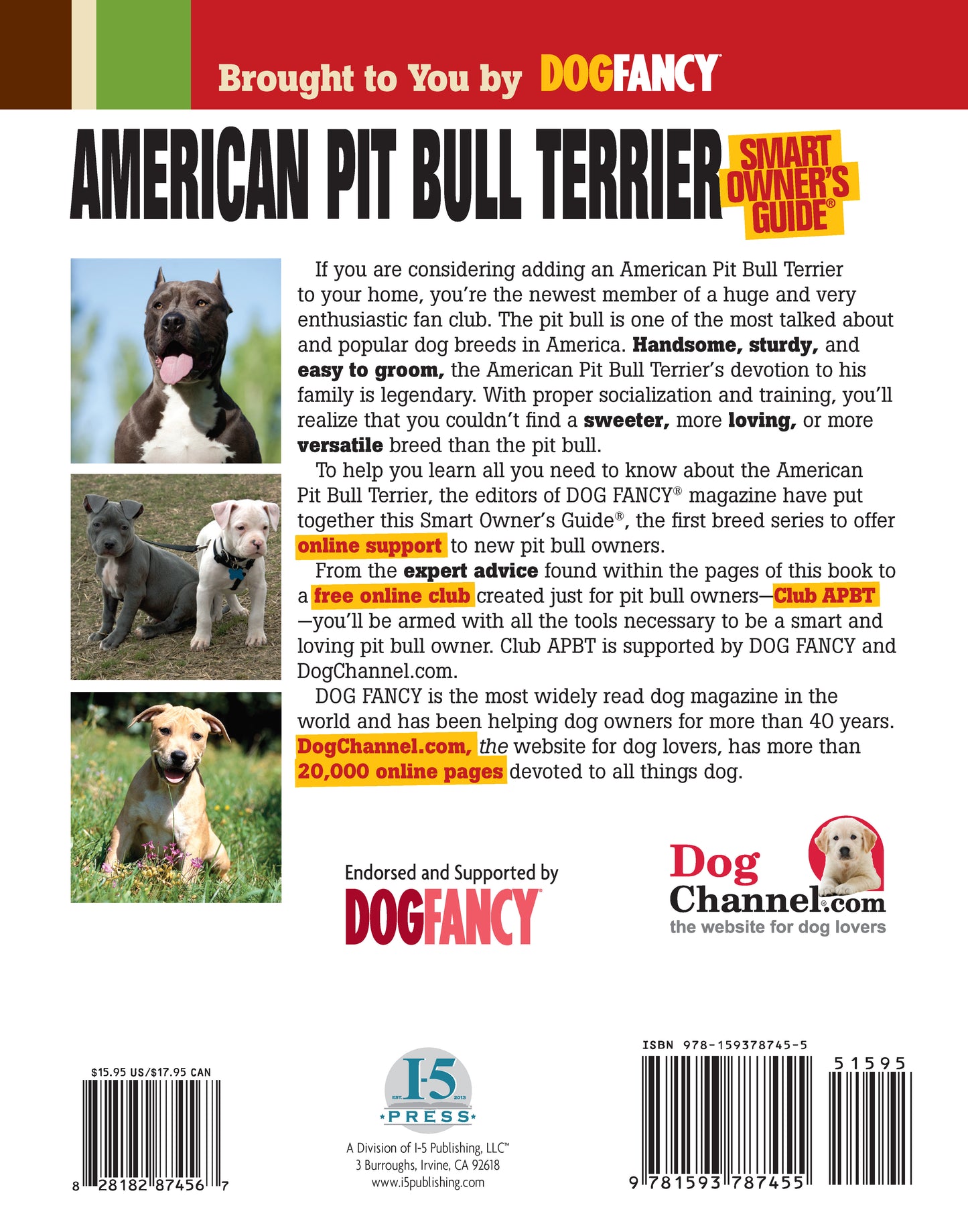 American Pit Bull Terrier