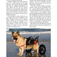 German Shepherd Dog