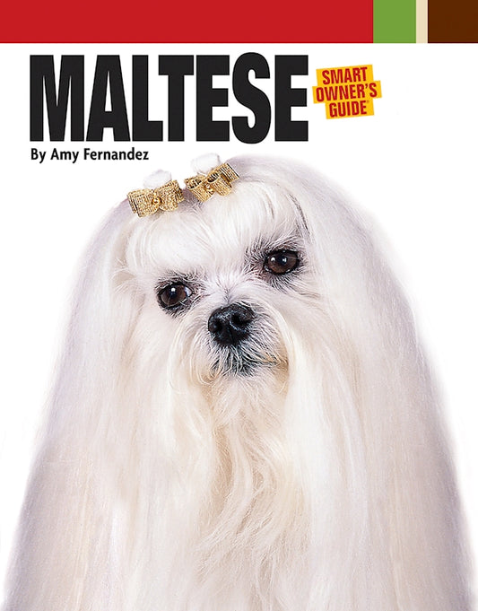 Maltese