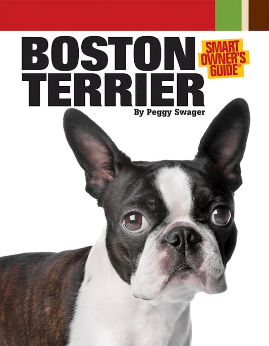 Boston Terrier