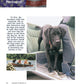Dog Heroes of September 11th