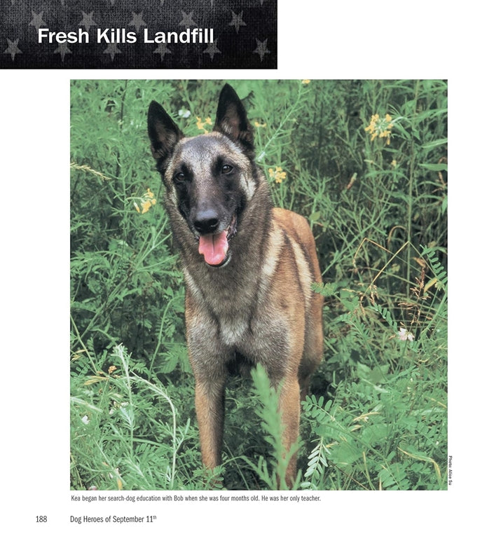 Dog Heroes of September 11th