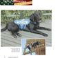 Dog Heroes of September 11th
