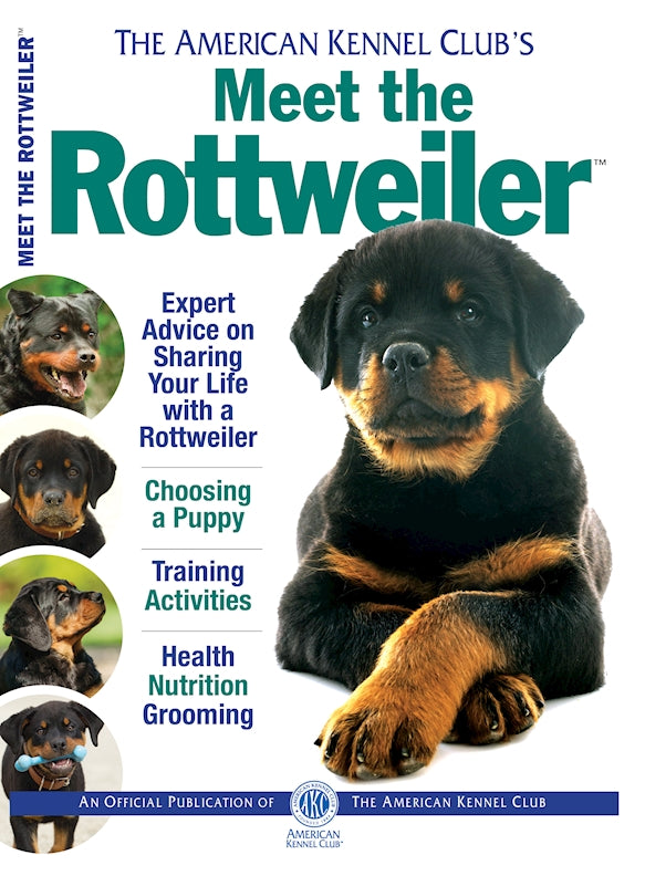 Meet the Rottweiler