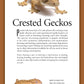 Crested Geckos