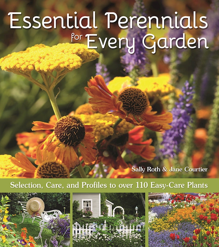 Essential Perennials for Every Garden