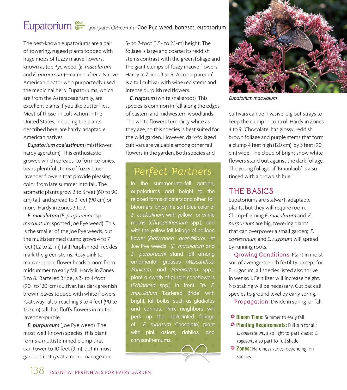 Essential Perennials for Every Garden – Fox Chapel Publishing Co.