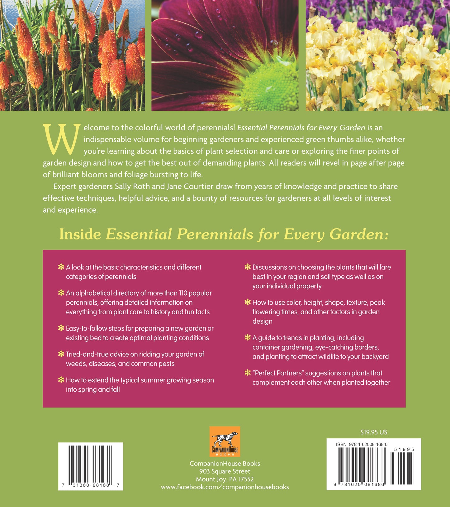 Essential Perennials for Every Garden