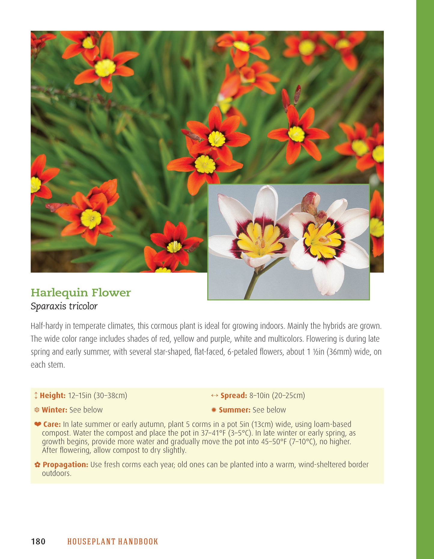 Houseplant Handbook