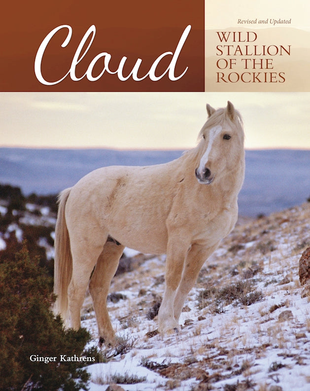 Cloud