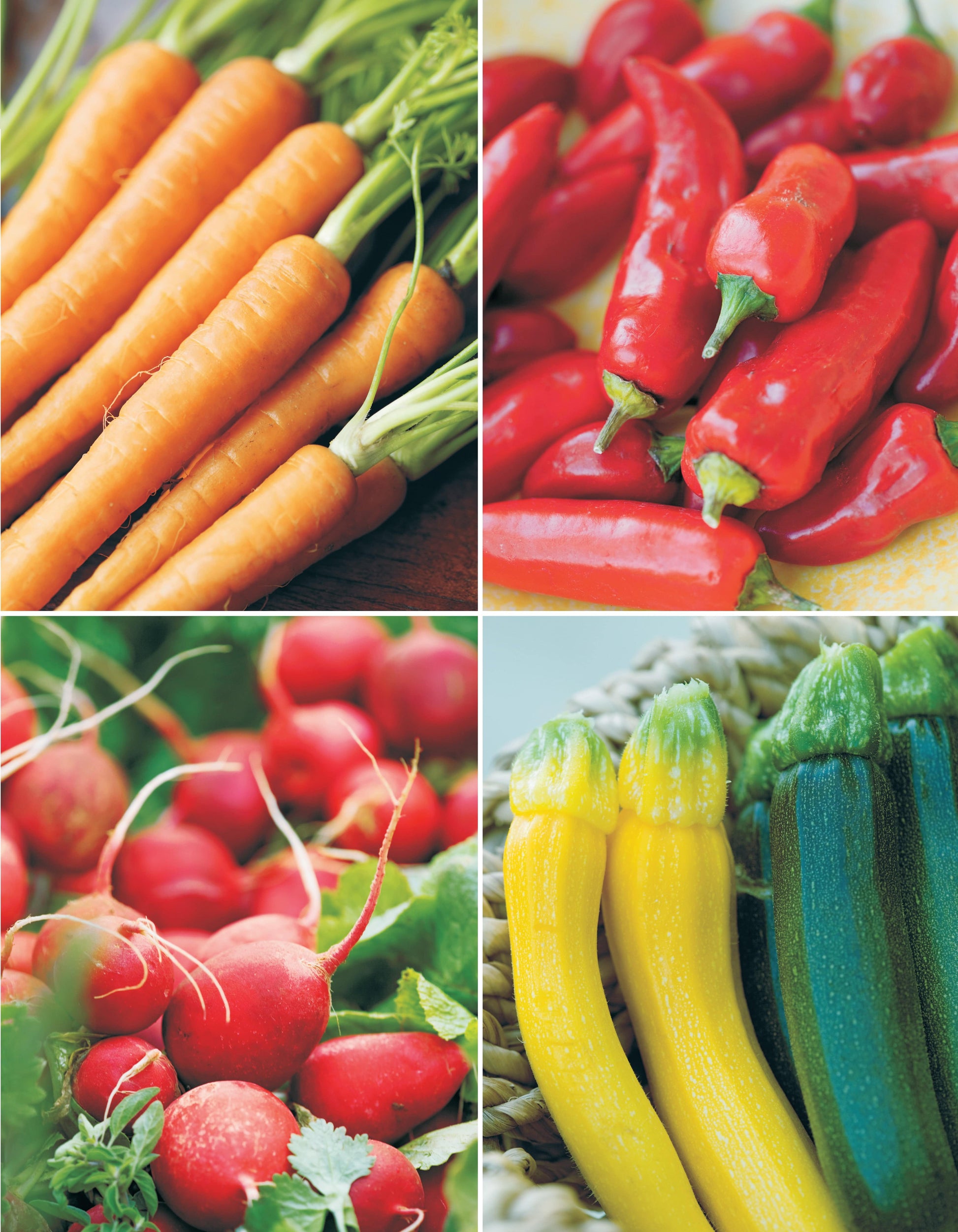 Low-Maintenance Vegetable Gardening - Fox Chapel Publishing Co.