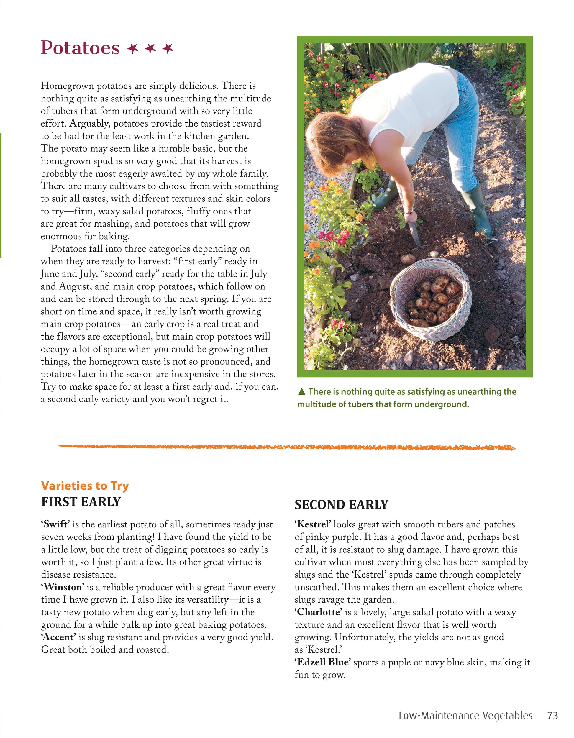 Low-Maintenance Vegetable Gardening - Fox Chapel Publishing Co.