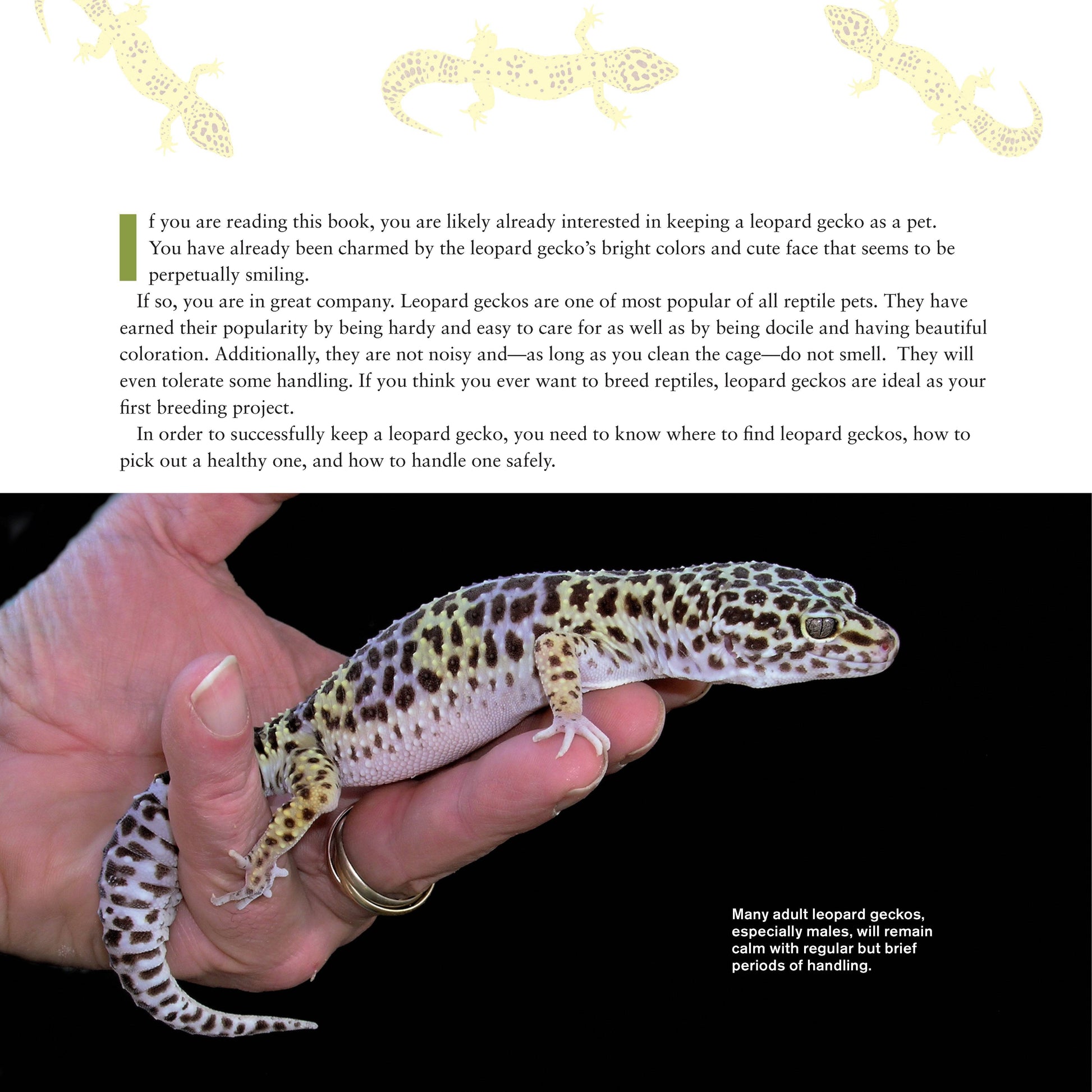 The Leopard Gecko Manual - Fox Chapel Publishing Co.
