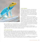 The Leopard Gecko Manual