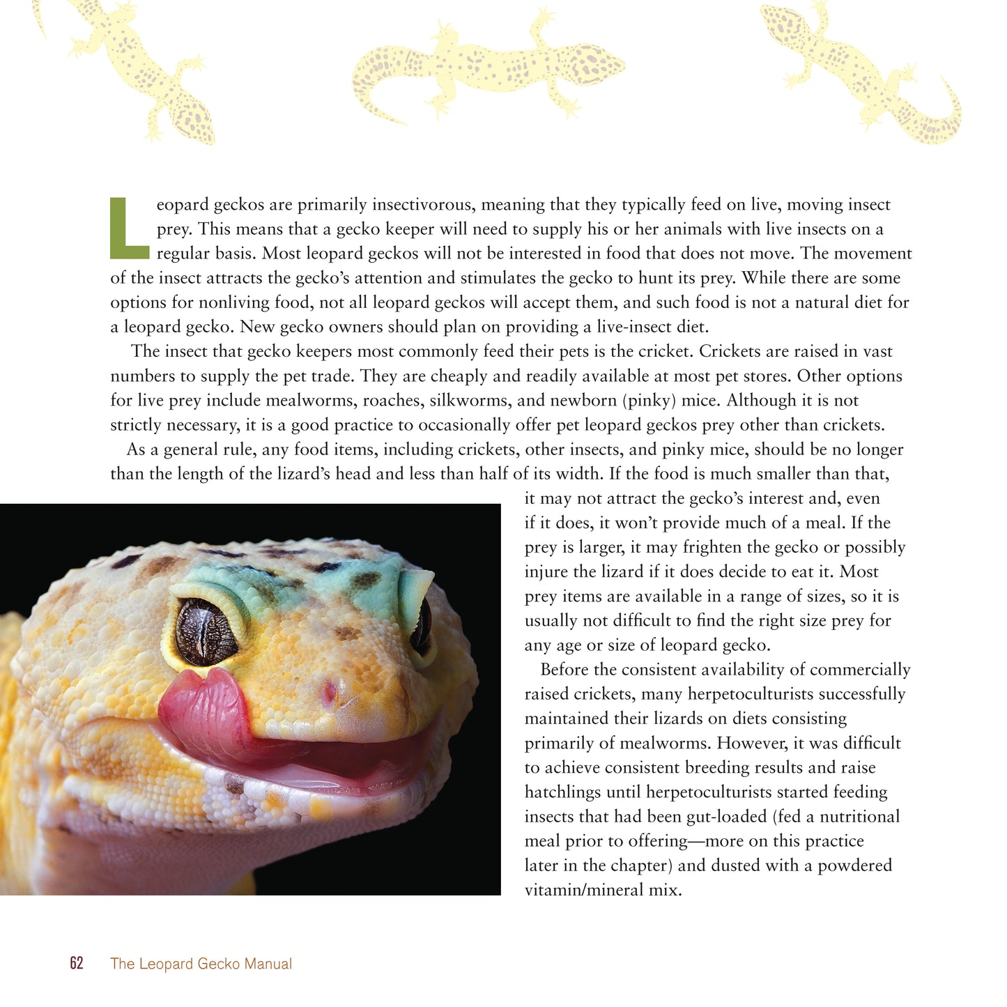 The Leopard Gecko Manual