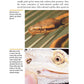 Understanding Reptile Parasites (Advanced Vivarium Systems)