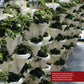 Urban Farming 2nd Ed