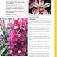 Orchids Handbook