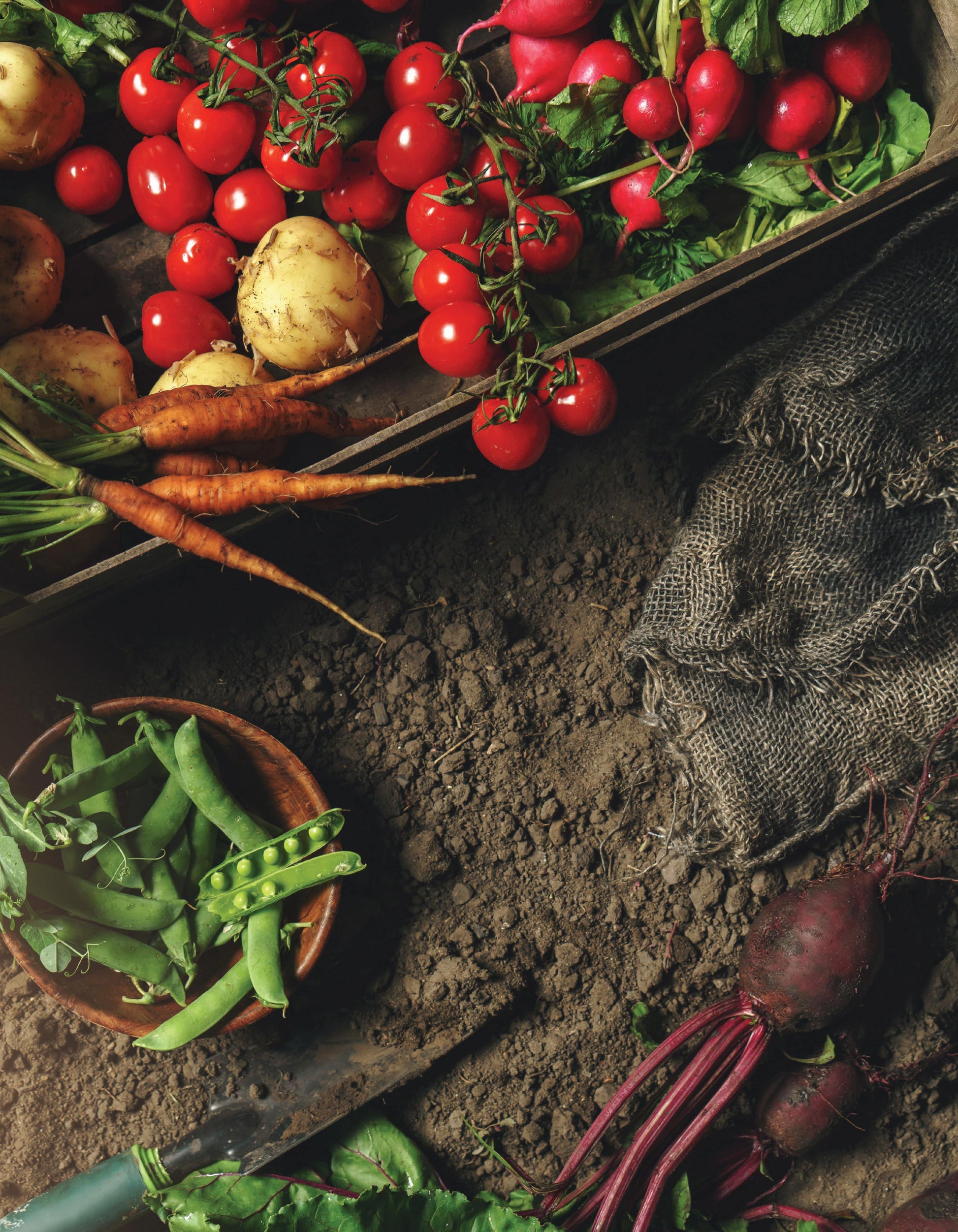 Gardening for Geeks - Fox Chapel Publishing Co.