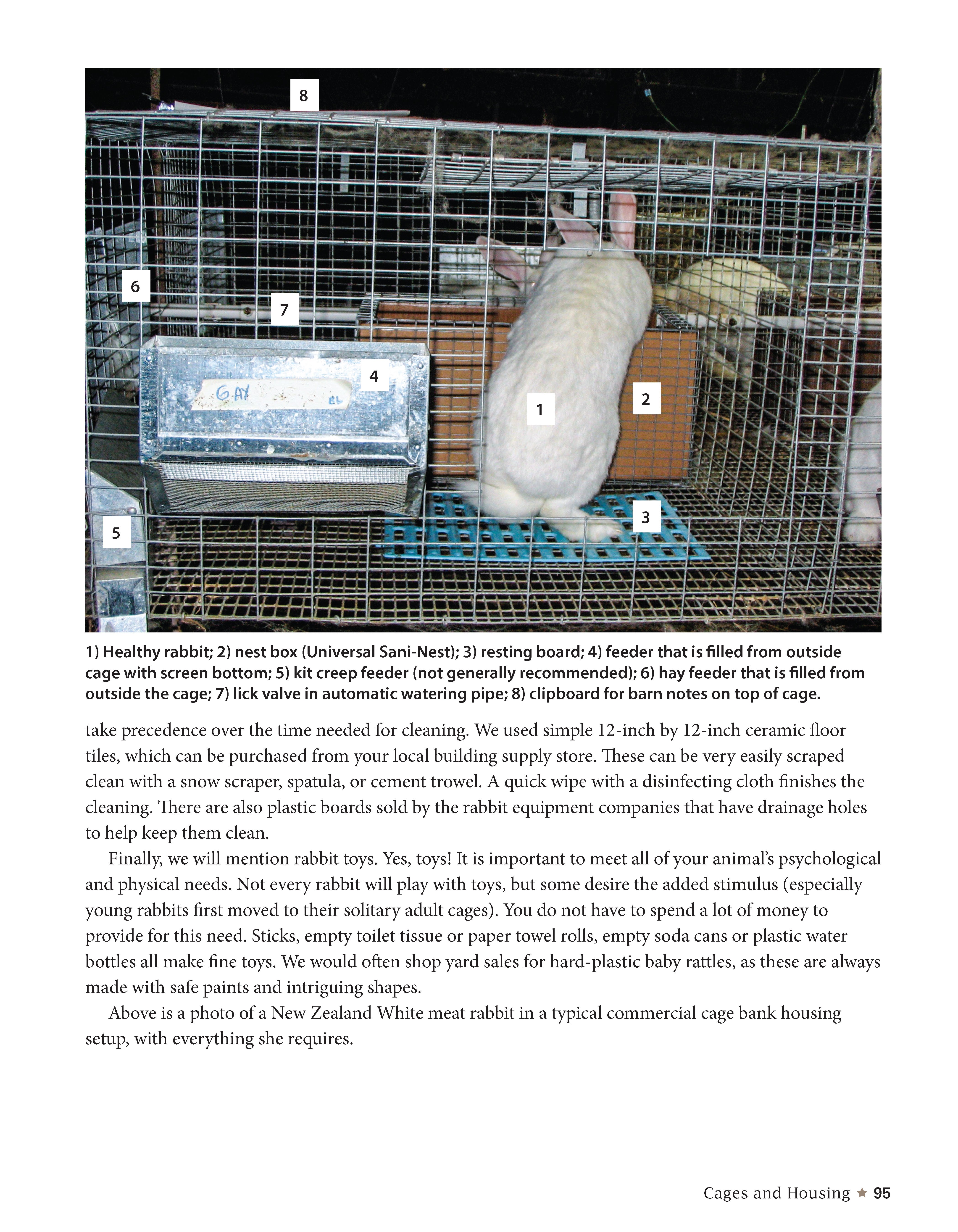 Hobby Farms: Rabbits: Small-Scale Rabbit Keeping by Chris